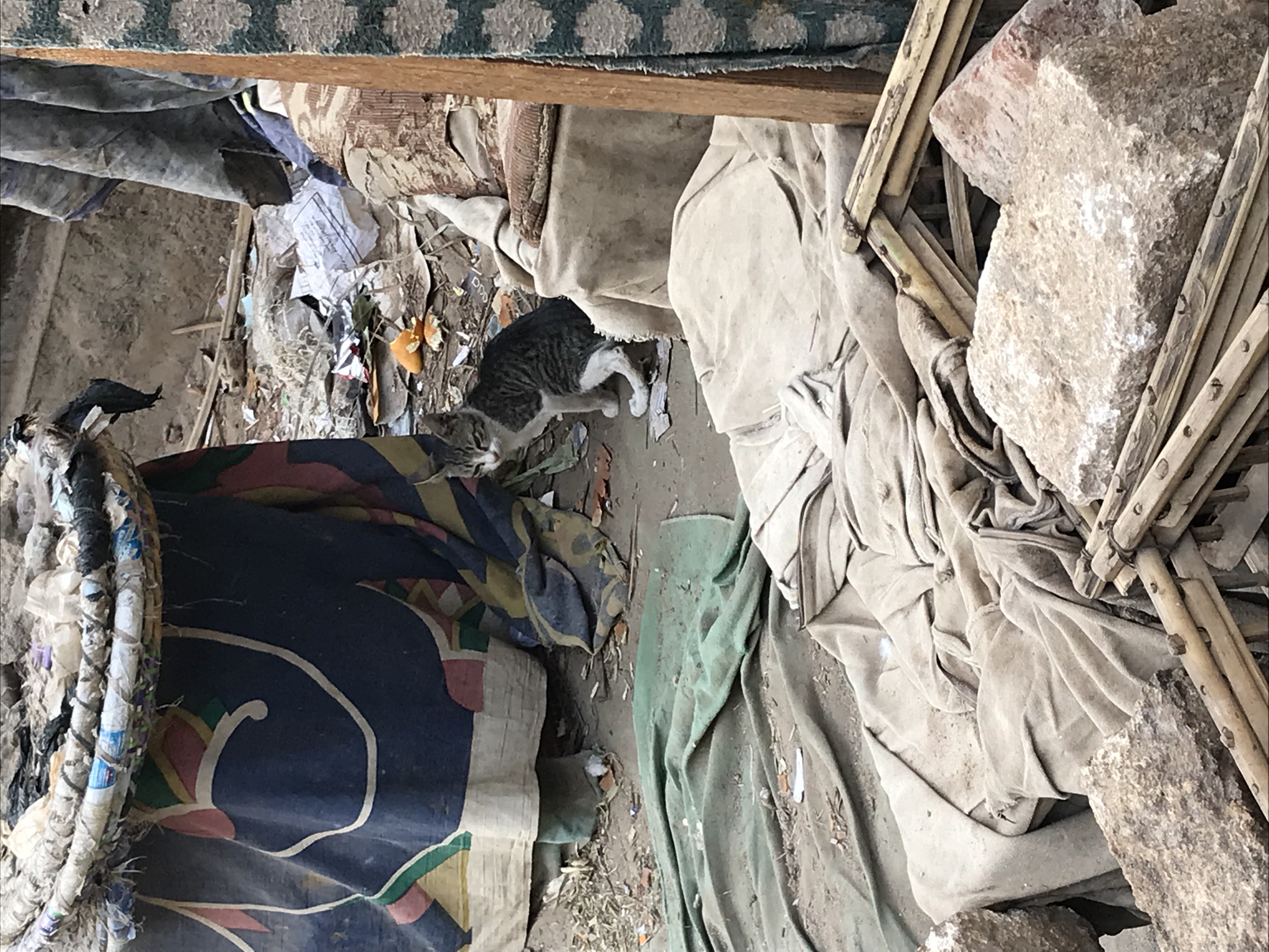 ./2018/16 - Egypt/07 - Esna/IMG_3094.jpg